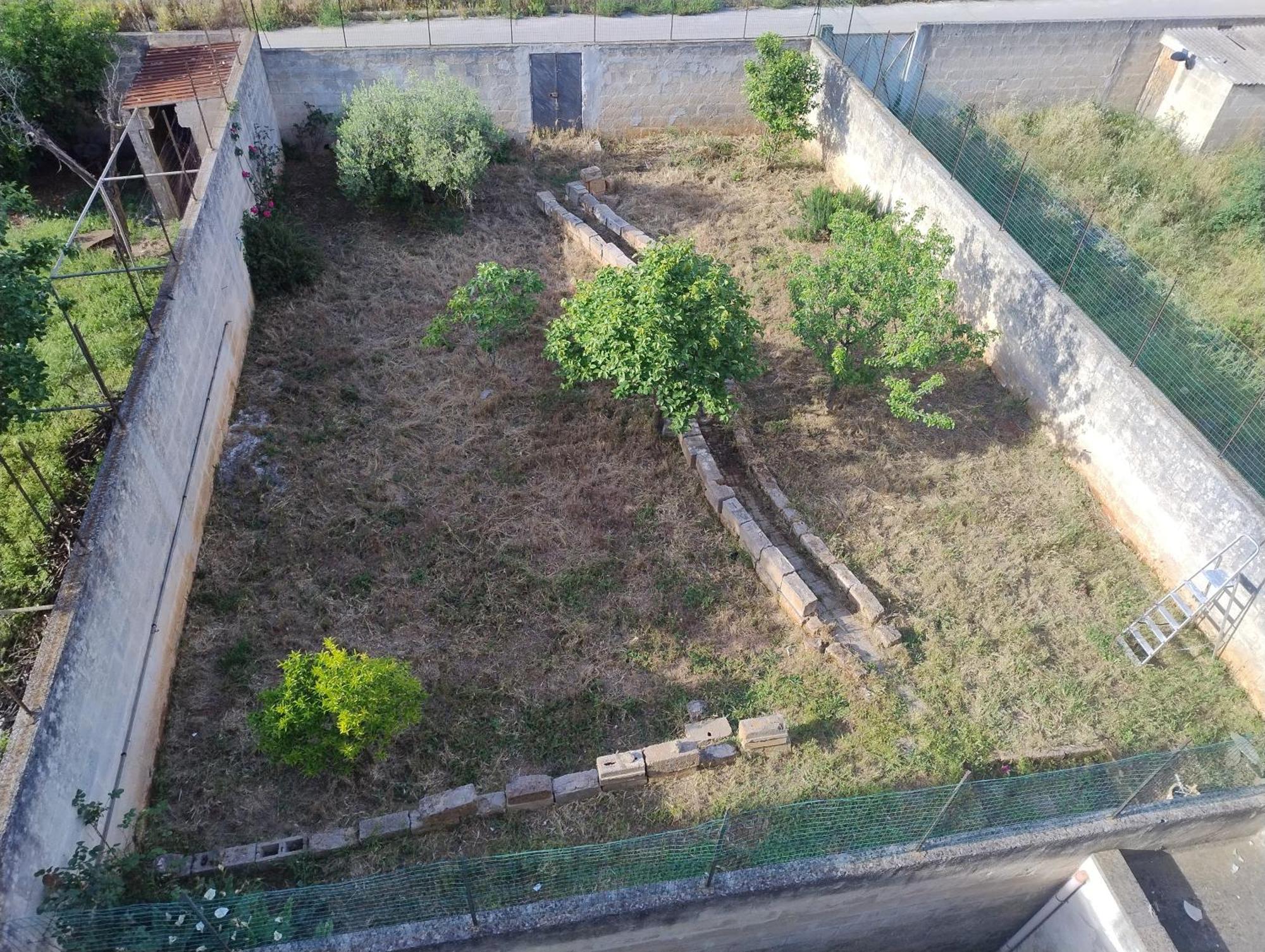 Favolosa Casa Con Terrazza, Idromassaggio, Cortile E Garage Auto Carovigno Bagian luar foto